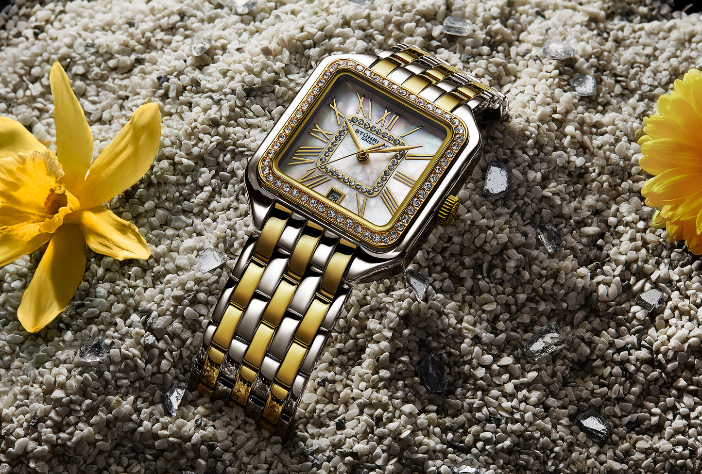 Luxury 4067 36mm