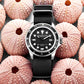 966B.03 (Reloj Stürling para Hombre Cuarzo Aquadiver Orlova 966B) (4597897756809)